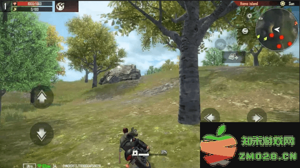 代号岛屿国际服(Project: Island) v1.1.16 安卓版 2