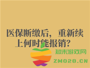 医保断缴超过3个月后如何恢复报销资格？补缴后还能否继续享受医保报销？