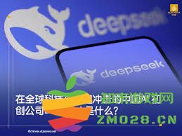 deepseek的背景介绍及其所在公司的详细信息是什么？