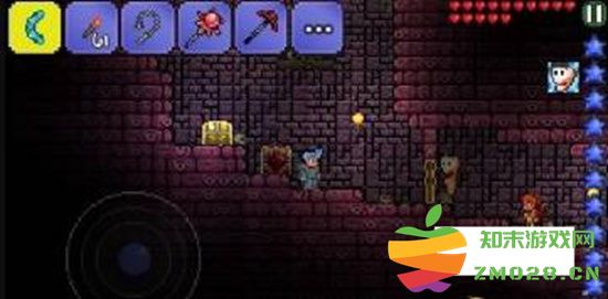 探索泰拉瑞亚地牢中的特殊宝箱解锁方法及技巧解析