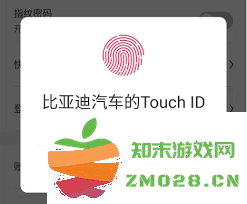 如何在比亚迪app中修改您的登录密码以及相关步骤详细说明
