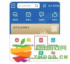 河北省人力资源和社会保障局如何方便快捷地查询个人养老金信息方法与步骤