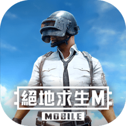 pubgmobile台服完整版包