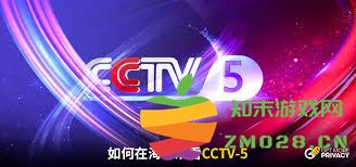 央视频的回看功能为何遭遇禁用，背后原因及影响分析