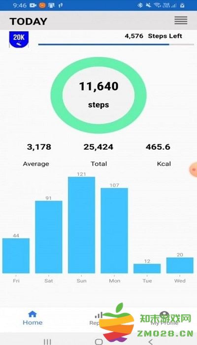 火凤凰计步器app(Flaming Phenix Sports Pedometer) v1.0.0 安卓版 1