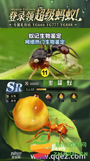 蚁国如何高效获取资源 快速提升资源获取的全面攻略与详细信息