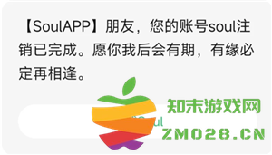 Soul账号注销后会有什么显示效果？注销账号需要多长时间才能彻底完成？