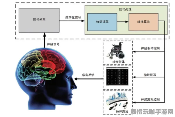 S2赛季特别版-区块链游戏-脑机接口定制系列-神经信号编码的完整流程解析