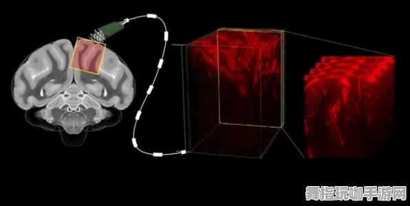脑机接口游戏-全攻略-热修复补丁V1-Windows全息版 脑机接口游戏-全攻略-热修复补丁V1-Windows全息版