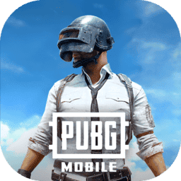 pubg国际服官方正版