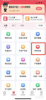 通过赣服通平台查询个人养老金发放详情的具体步骤和方法