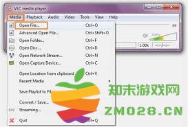 如何简单快速地播放MOV格式文件，轻松享受视频体验的方法和技巧