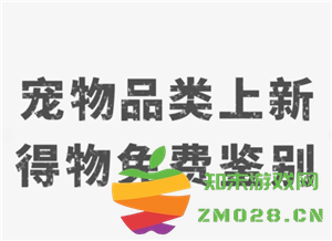 得物宠物鉴别流程如何进行？一般多长时间能收到接货通知？