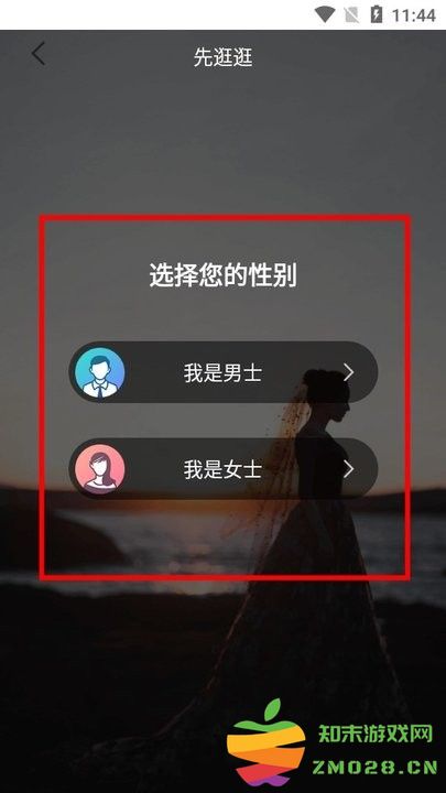 一伴婚恋专业版新手攻略