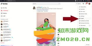 如何在TikTok应用中更改语言设置以适应您的使用习惯