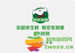 京东到家是否支持使用京东e卡进行支付以及是否可以使用沃尔玛购物卡进行购物