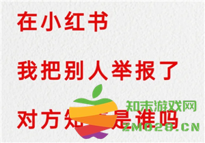 在小红书上举报他人后我能看到举报结果吗？如何查看小红书举报的进展情况？