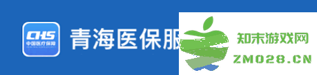 青海省人力资源和社会保障局医疗保险缴纳详细指南及注意事项