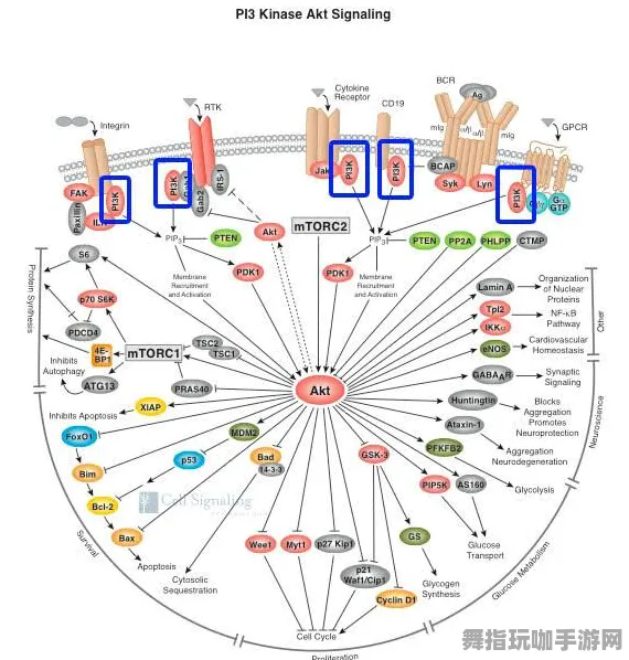 神经信号编码全流程-实时更新-0428-开放世界RPG-Vision Pro移植版