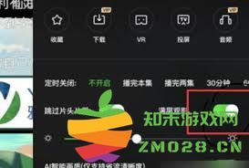 如何在苹果下载的应用中成功开启人脸支付功能的详细步骤与注意事项