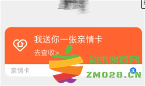 支付宝亲情卡消费版与零钱版之间的主要区别及其认证方式分析