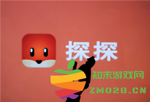 探探是否支持通过手机号搜索用户功能？此外，探探能否根据昵称来找到其他用户？