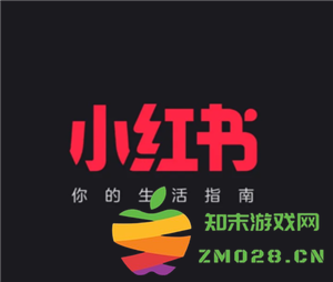 小红书的国际版应用程序有什么名称？小红书国际版是否与国内版的数据和用户可以互通？