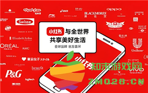 在小红书中是否可以查看到好友的已读消息状态和在线活动情况？