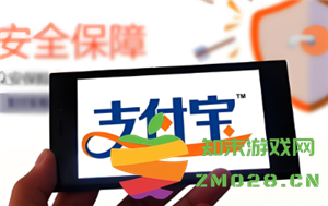 支付宝蚂蚁保险的安全性如何? 是否值得购买支付宝蚂蚁保险进行保障？