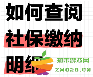如何在支付宝上查询社保缴费记录及累计缴纳年限的具体步骤与方法