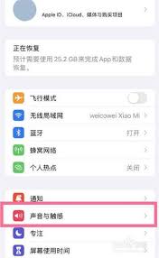 如何调整和自定义iPhone的锁屏声音设定方法与步骤详解