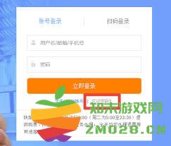 如果忘记了12306账号和密码，该如何进行找回操作呢？