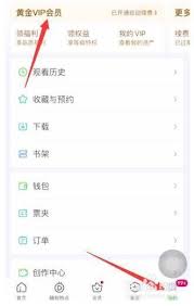爱奇艺会员如何停止自动续费的详细操作指南与步骤解析