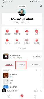 如何在网易云音乐中有效删除不需要的重复歌单并整理你的音乐库