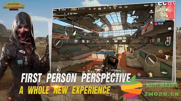 和平精英国际服体验服 v3.8.4 安卓官方正版 3