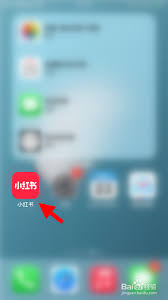 如何将小红书中的视频保存到手机相册中，步骤详解与注意事项