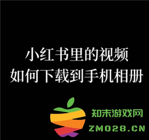 如何下载小红书app中的视频？小红书app视频下载详细步骤和方法介绍