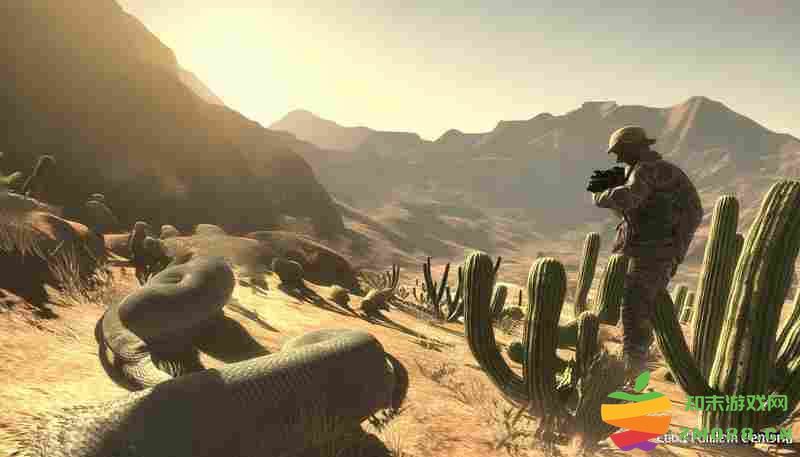 荒野大镖客2快速定位日光蟒蛇的实用秘籍与技巧分享