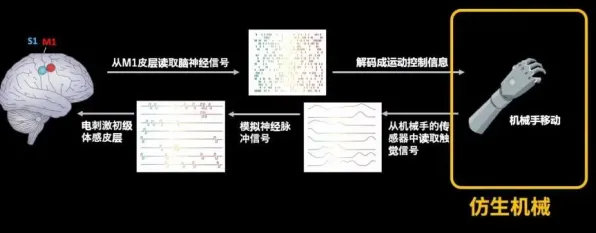 神经信号编码全流程-S2赛季独家-脑机接口互动游戏-淘宝专属体验