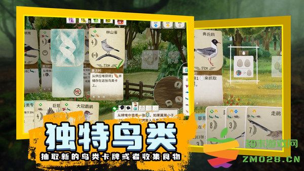 鸟类观察家最新版 v1.1.101 安卓版 1