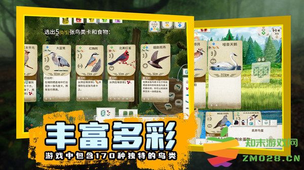鸟类观察家最新版 v1.1.101 安卓版 3