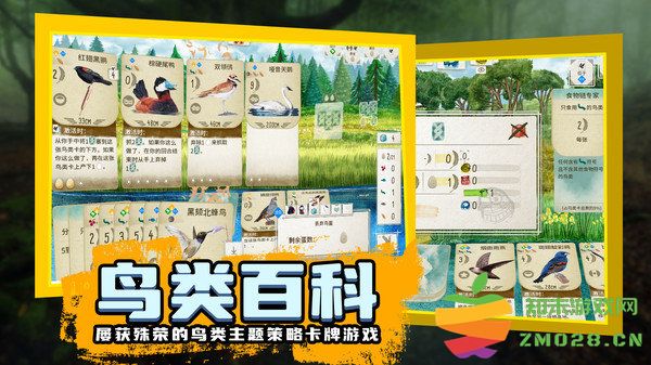 鸟类观察家最新版 v1.1.101 安卓版 0