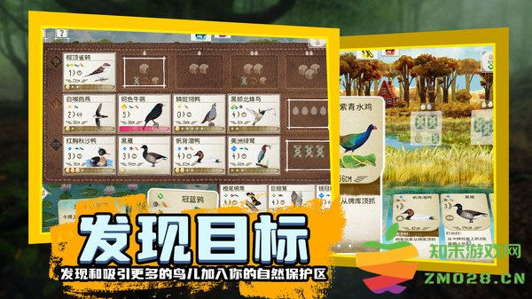 鸟类观察家最新版 v1.1.101 安卓版 2