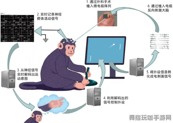 热修复补丁V1-跨平台联机-脑机接口专用版-速通技巧