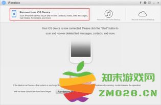 在哪里可以下载苹果恢复大师软件？具体的位置和下载链接是什么？