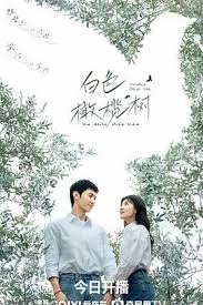 电视剧《白色橄榄树》剧情介绍与资源获取指南