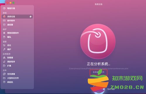 在Mac系统中如何有效清理和释放系统数据以提升性能和存储空间