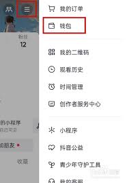 如何在抖音极速版中查询和查看详细账单记录的方法解析