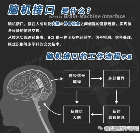 脑机接口2.0游戏全攻略-最新动态及技巧分享-0428-淘宝互动平台最新更新