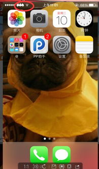 苹果15如何调整和设置信号图标以获得最佳使用体验